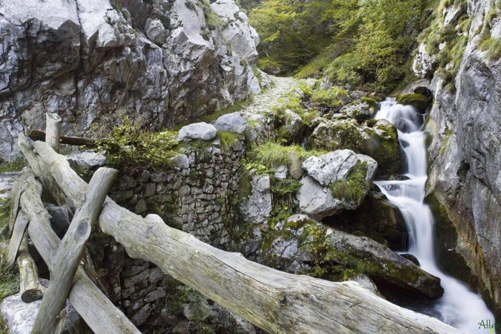 Los Molinos - Atico En Montana De Asturias Felechosa Kültér fotó