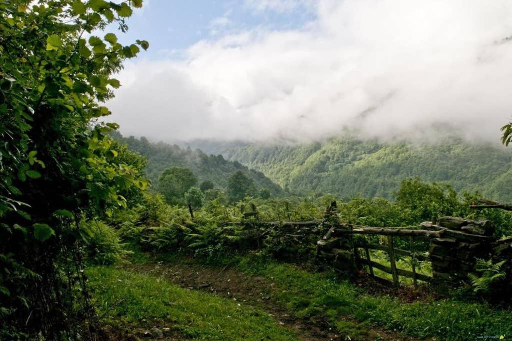 Los Molinos - Atico En Montana De Asturias Felechosa Kültér fotó