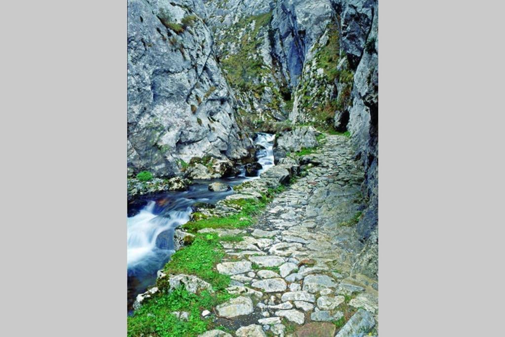 Los Molinos - Atico En Montana De Asturias Felechosa Kültér fotó