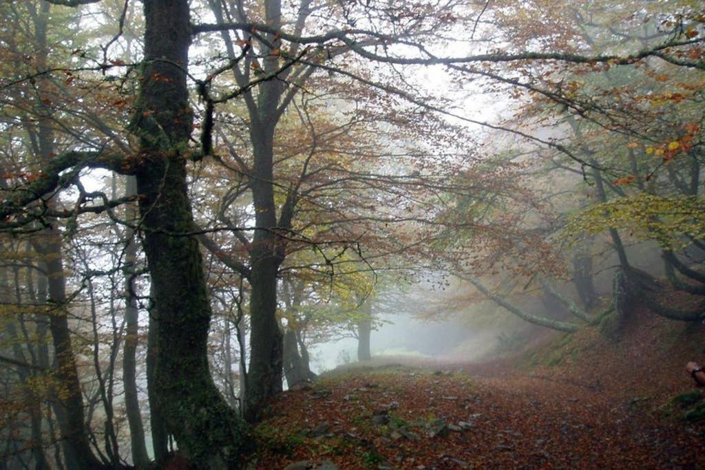 Los Molinos - Atico En Montana De Asturias Felechosa Kültér fotó
