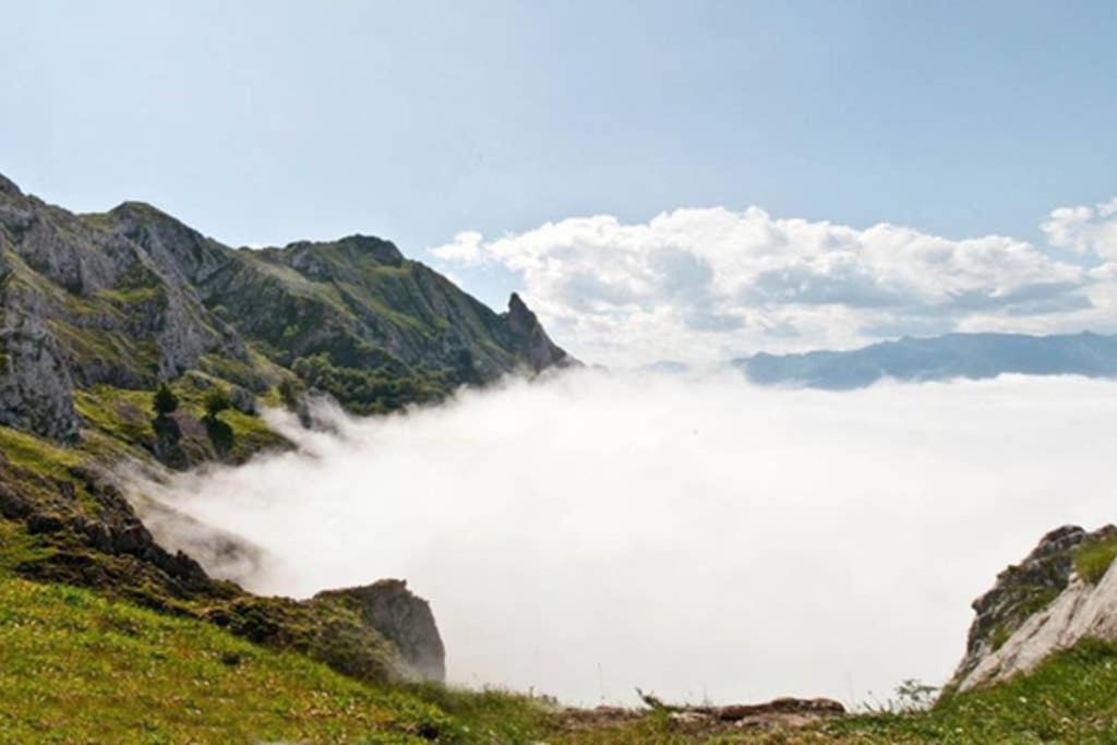 Los Molinos - Atico En Montana De Asturias Felechosa Kültér fotó